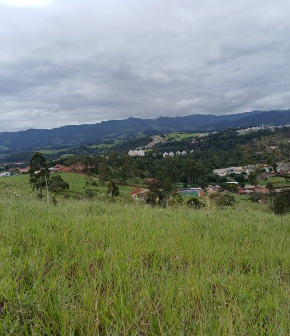 WhatsApp Image 2026-03-04 at 10.40.21