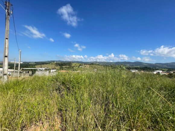 WhatsApp Image 2026-03-05 at 10.14.38 (2)