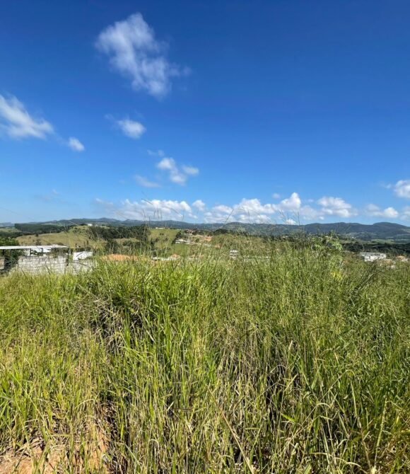 WhatsApp Image 2026-03-05 at 10.14.38 (2)