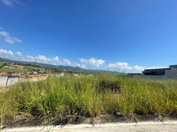 WhatsApp Image 2026-03-05 at 10.14.38 (3)