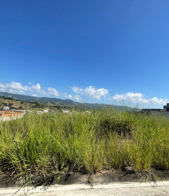 WhatsApp Image 2026-03-05 at 10.14.38 (3)