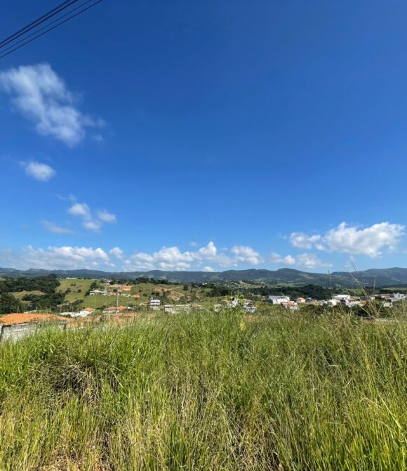 WhatsApp Image 2026-03-05 at 10.14.38