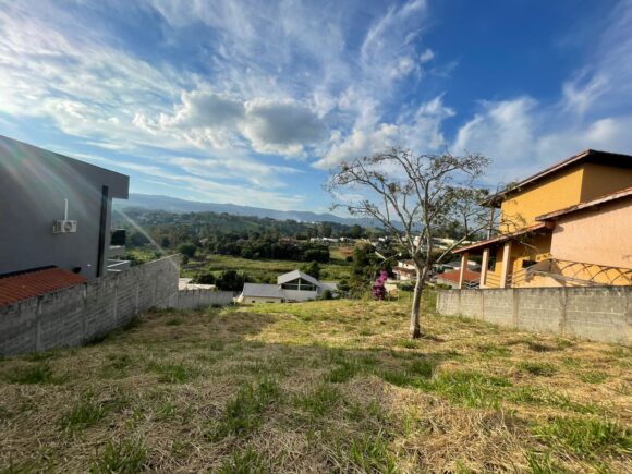 WhatsApp Image 2026-03-05 at 10.31.55