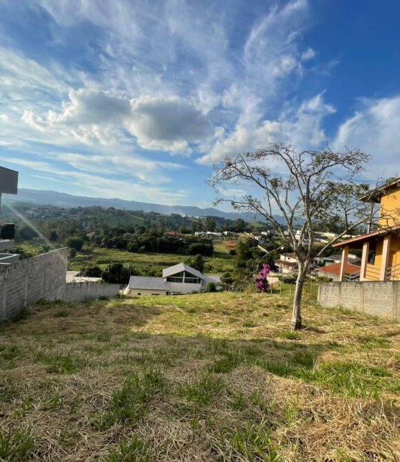 WhatsApp Image 2026-03-05 at 10.31.55