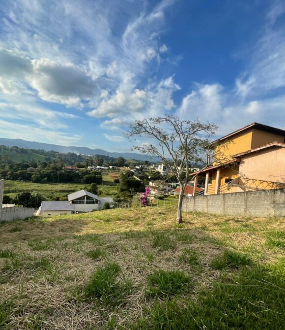 WhatsApp Image 2026-03-05 at 10.31.56