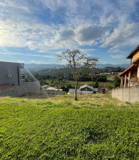 WhatsApp Image 2026-03-05 at 10.31.57