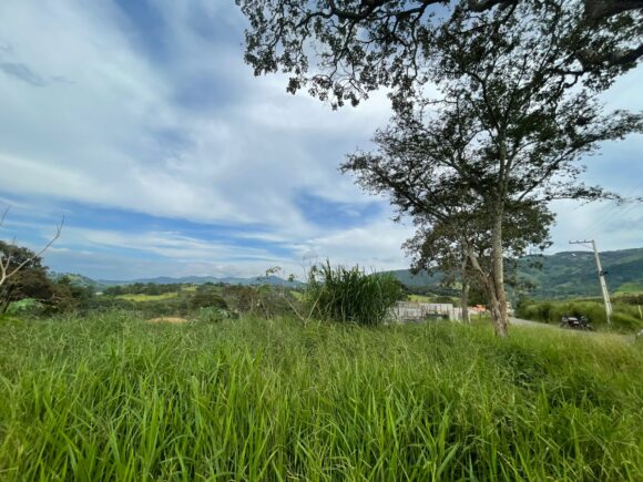 WhatsApp Image 2026-03-05 at 10.49.27 (1)