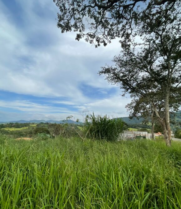 WhatsApp Image 2026-03-05 at 10.49.27 (1)