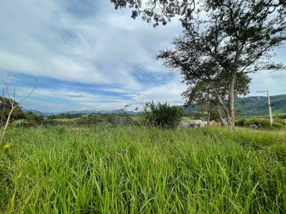 WhatsApp Image 2026-03-05 at 10.49.27 (2)