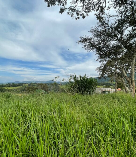 WhatsApp Image 2026-03-05 at 10.49.27 (2)