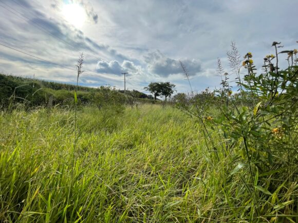 WhatsApp Image 2026-03-05 at 10.49.27 (3)