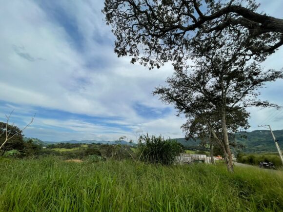 WhatsApp Image 2026-03-05 at 10.49.27