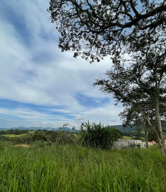 WhatsApp Image 2026-03-05 at 10.49.27