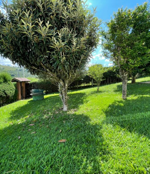 WhatsApp Image 2026-03-18 at 14.18.32 (2)