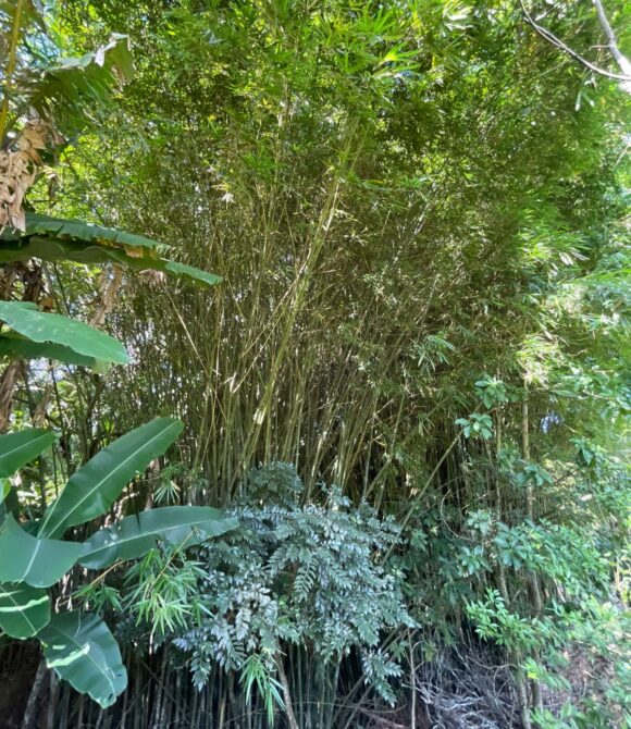 WhatsApp Image 2026-03-23 at 10.13.29 (2)