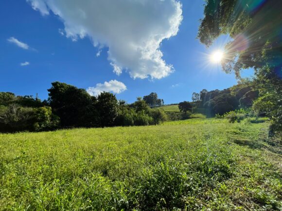 WhatsApp Image 2026-03-23 at 10.13.29