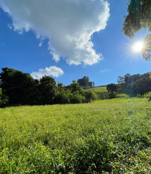 WhatsApp Image 2026-03-23 at 10.13.29