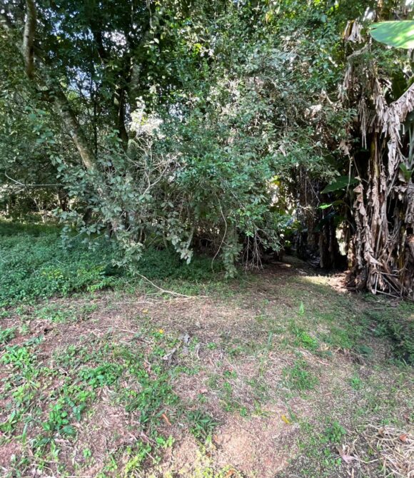 WhatsApp Image 2026-03-23 at 10.13.34 (1)