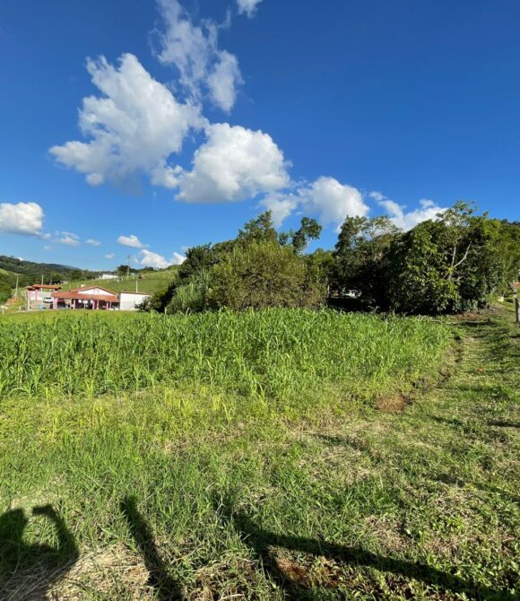 WhatsApp Image 2026-03-23 at 10.13.34 (2)