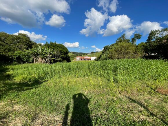 WhatsApp Image 2026-03-23 at 10.13.34