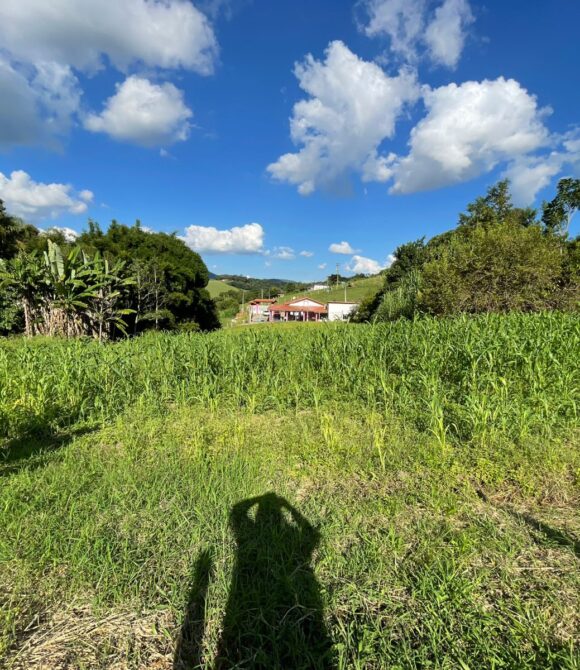 WhatsApp Image 2026-03-23 at 10.13.34