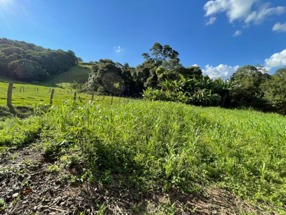 WhatsApp Image 2026-03-23 at 10.13.35 (1)