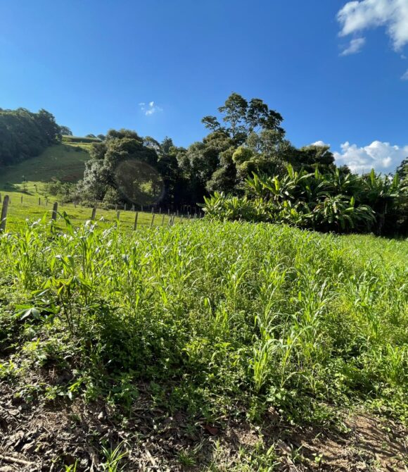 WhatsApp Image 2026-03-23 at 10.13.35 (1)