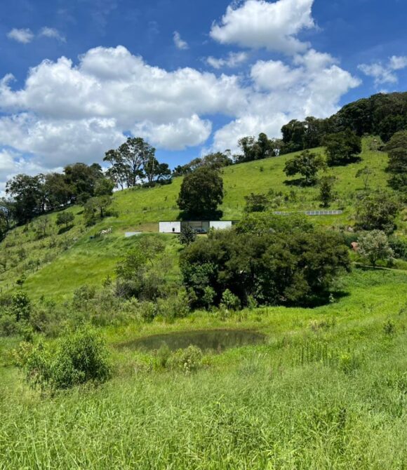 WhatsApp Image 2026-03-25 at 12.59.24 (1)