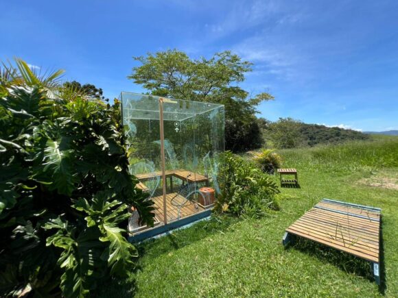 WhatsApp Image 2026-03-25 at 12.59.26 (4)