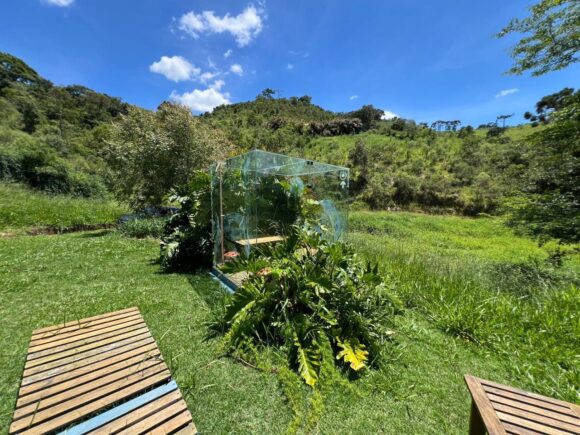 WhatsApp Image 2026-03-25 at 12.59.26 (6)