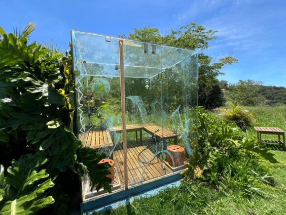 WhatsApp Image 2026-03-25 at 12.59.27