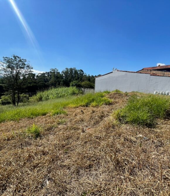 WhatsApp Image 2026-04-27 at 12.18.17 (4)