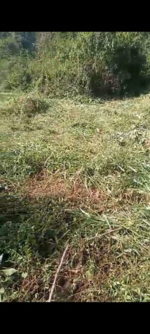 WhatsApp Image 2026-06-18 at 11.27.10 (2)
