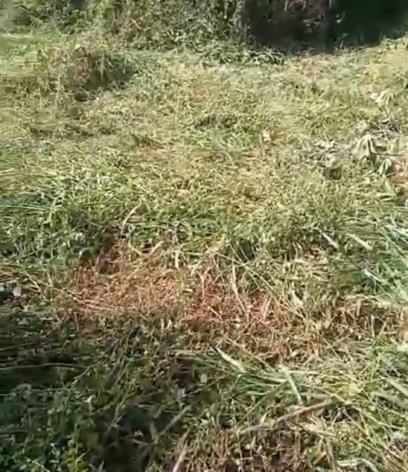 WhatsApp Image 2026-06-18 at 11.27.10 (2)