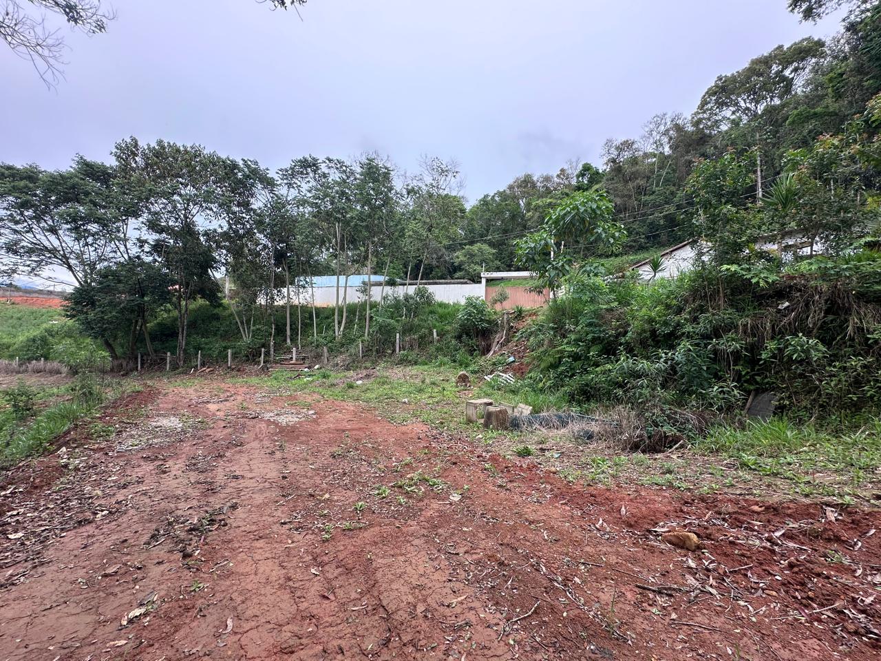 LOTE COD 4025