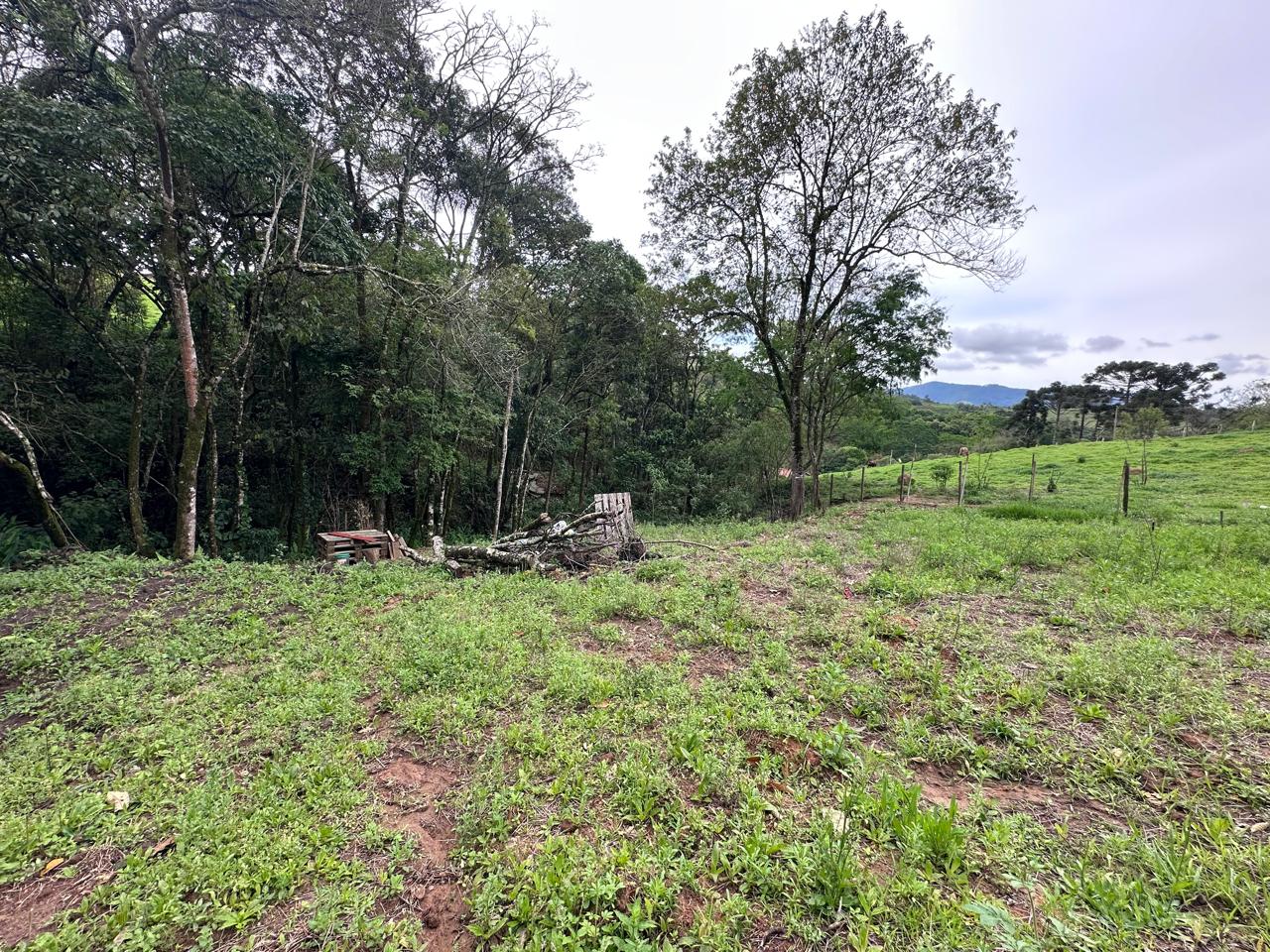 LOTE COD 4025