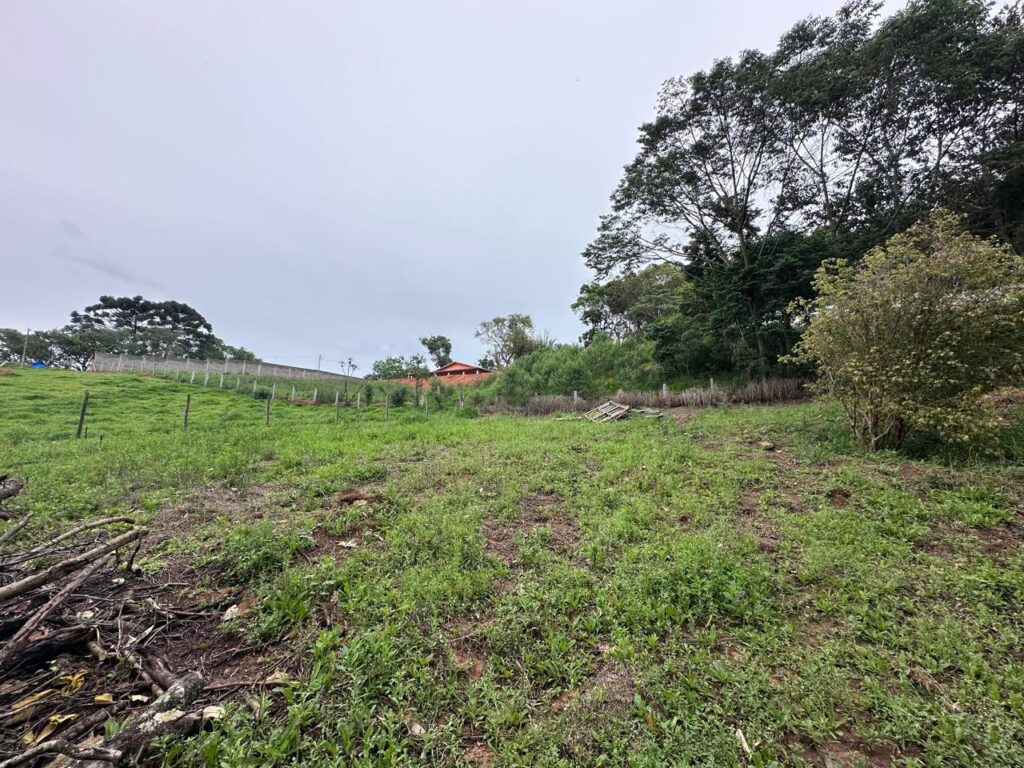 LOTE COD 4025